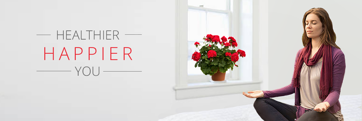 Healthier Happier You