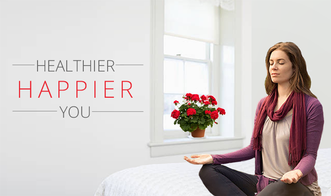 Healthier Happier You